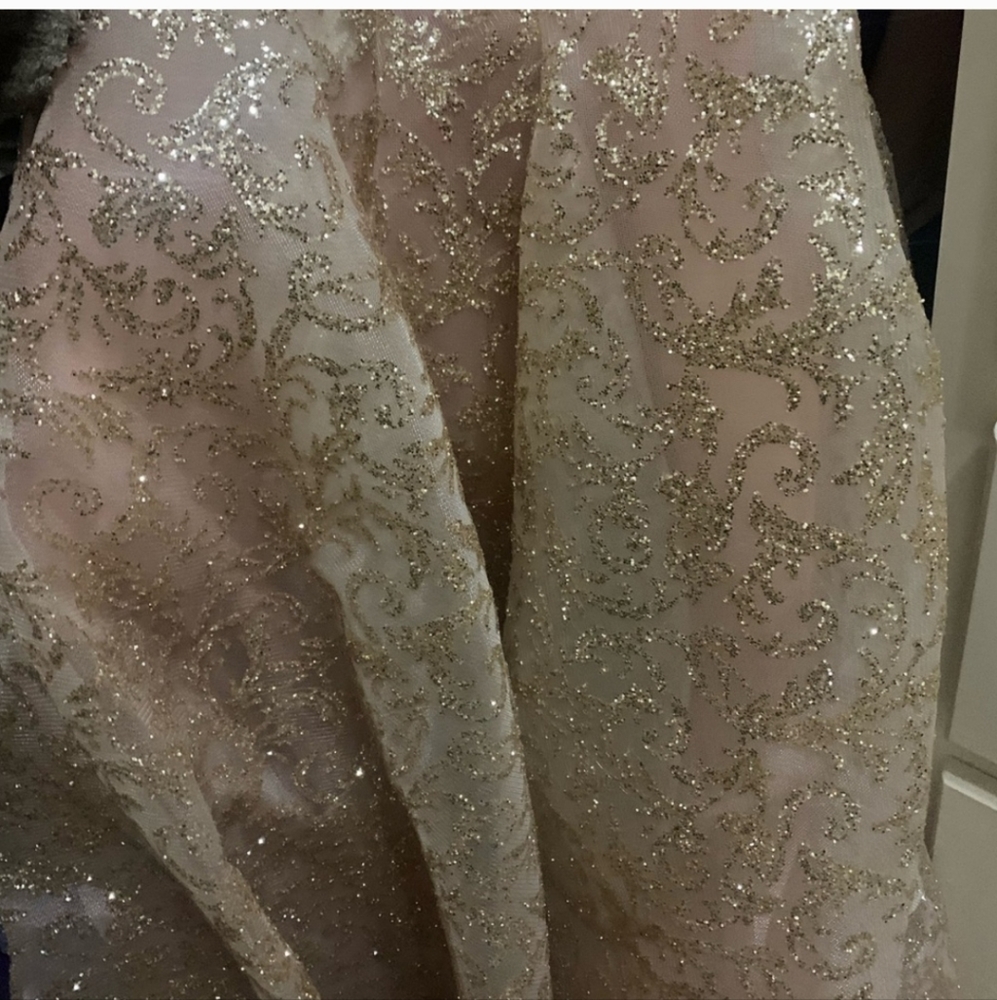 Portia and scarlett nude/ gold dress + overskirt - Picture 6 of 9